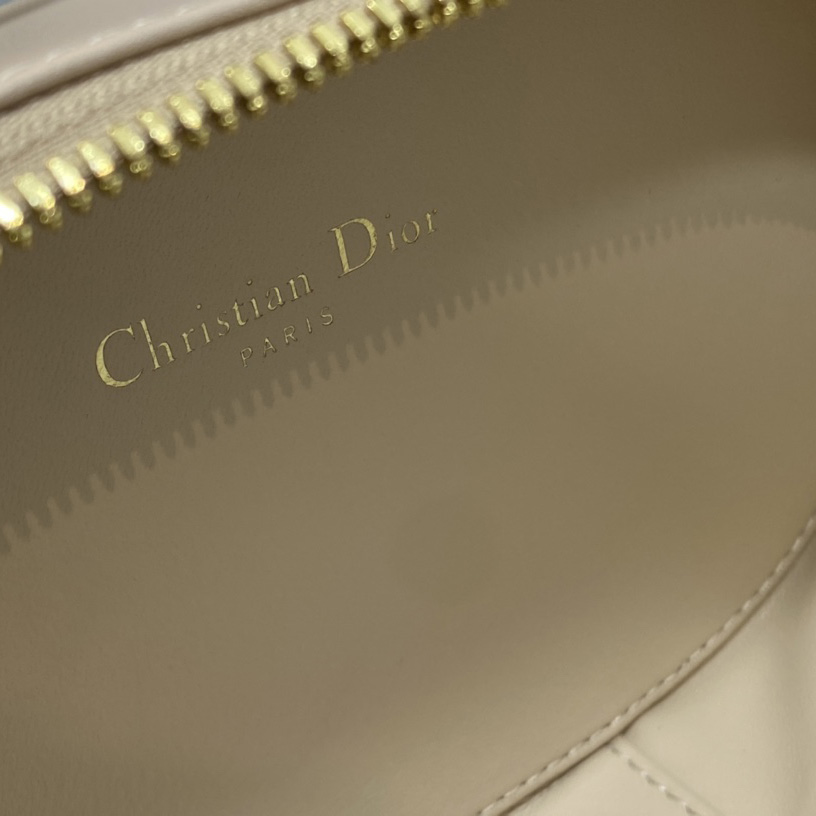 Dior CD Signature Oval Camera Bag - DesignerGu