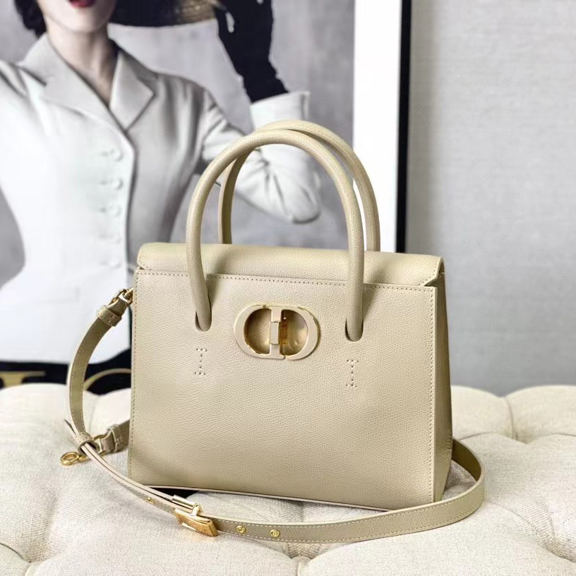 Dior Medium St. Honore Tote (25 -19-12 cm) - DesignerGu