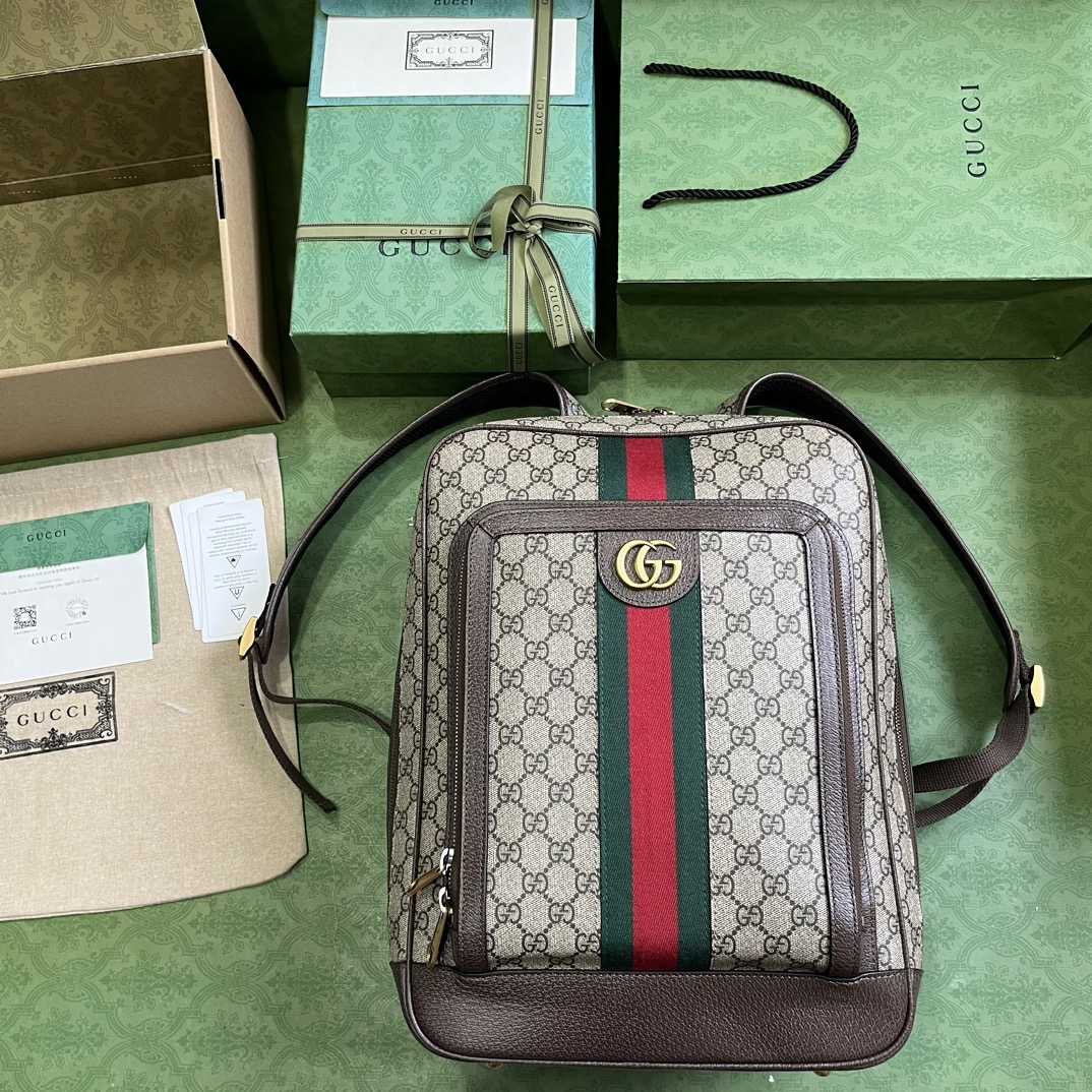 Gucci Ophidia GG Medium Backpack (40-30-14cm) - DesignerGu