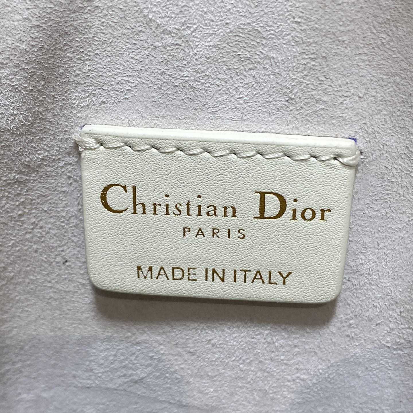 Dior Small C'est Dior Bag  - DesignerGu