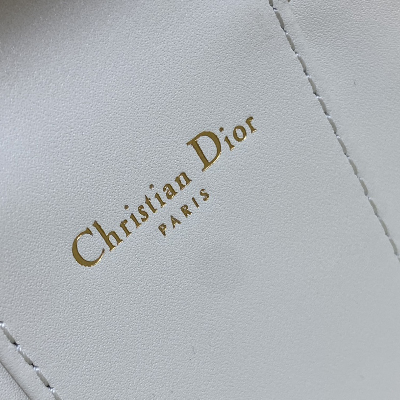 Dior Small CD Signature Vanity Case - DesignerGu