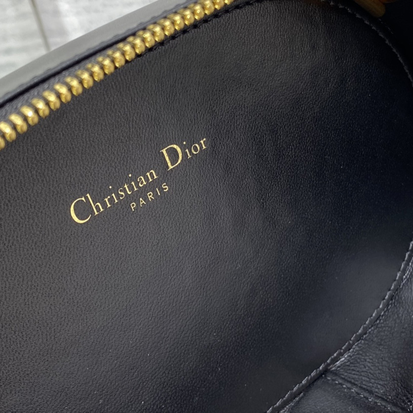 Dior CD Signature Oval Camera Bag - DesignerGu