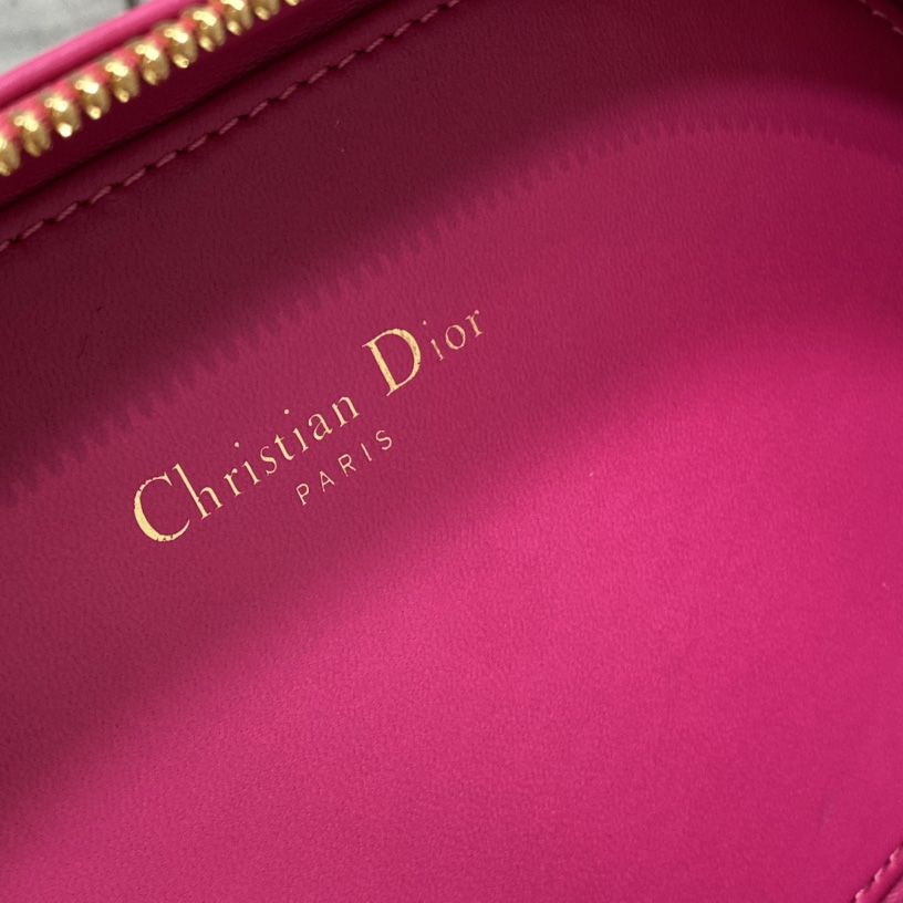 Dior CD Signature Oval Camera Bag - DesignerGu