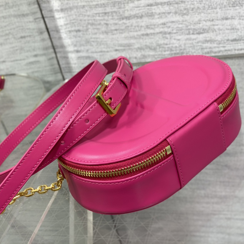 Dior CD Signature Oval Camera Bag - DesignerGu