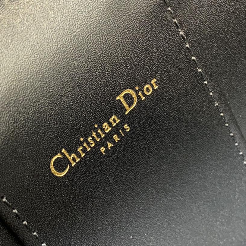 Dior Small CD Signature Vanity Case - DesignerGu