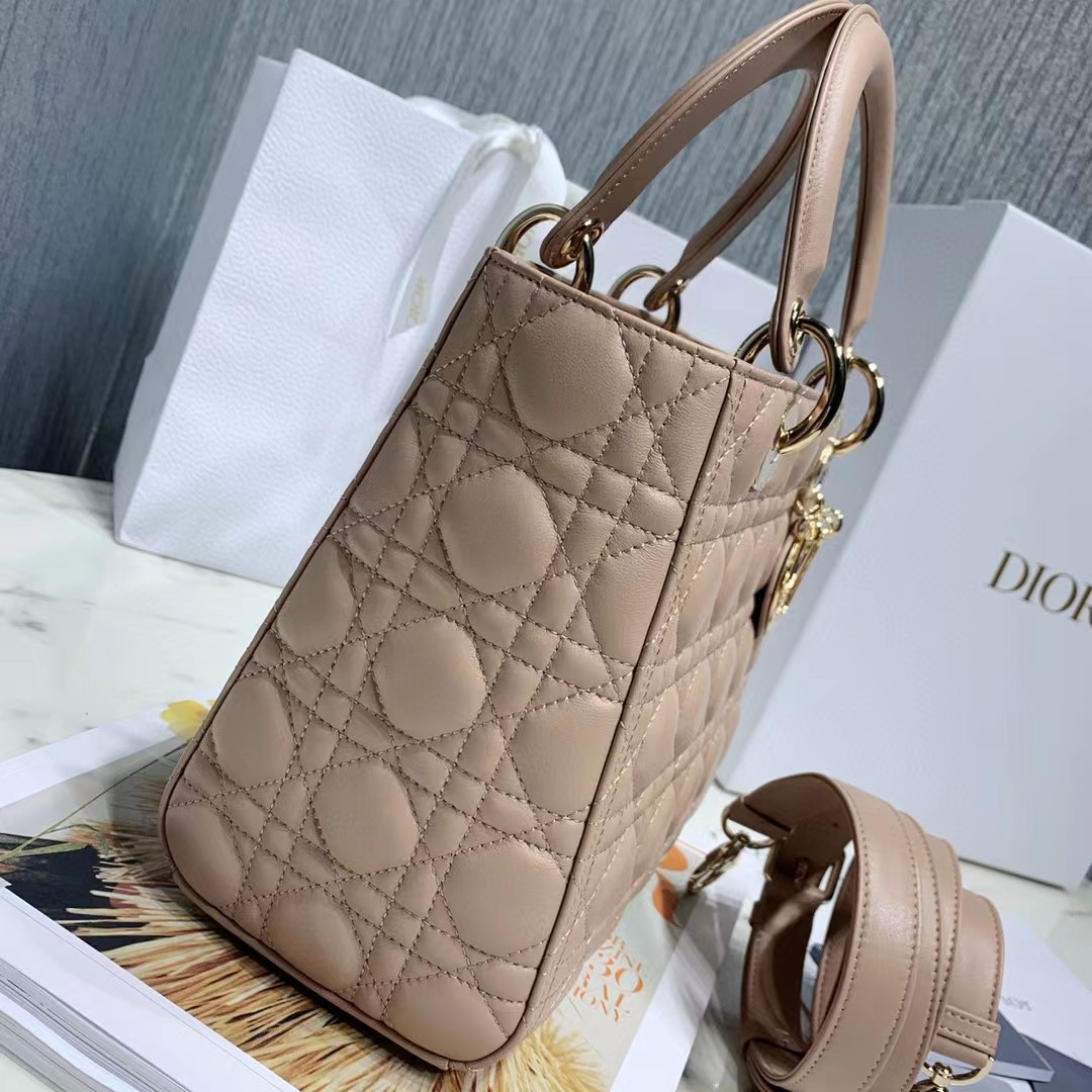 DiorLady Dior Bag  20cm - DesignerGu