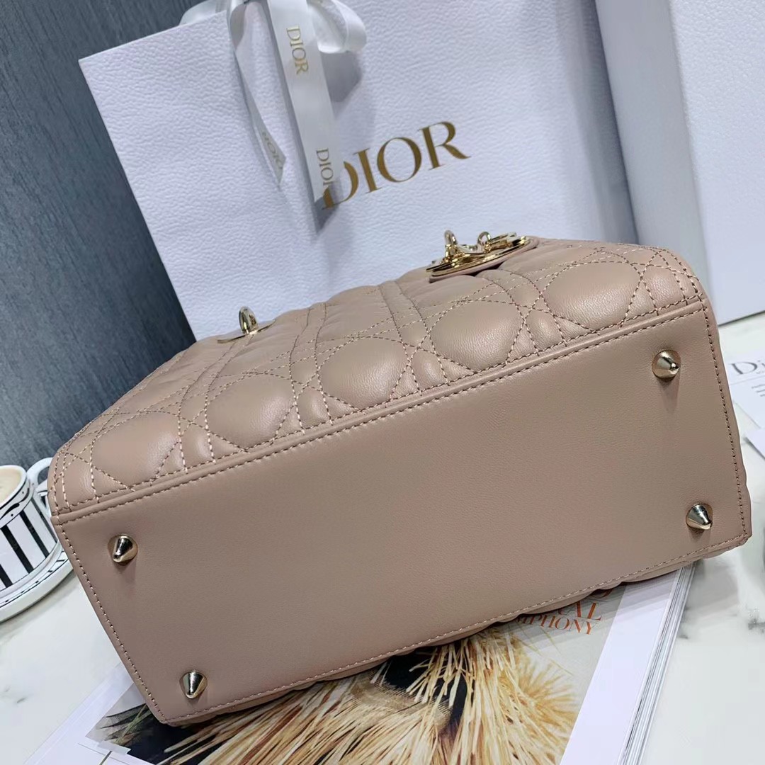 DiorLady Dior Bag  20cm - DesignerGu