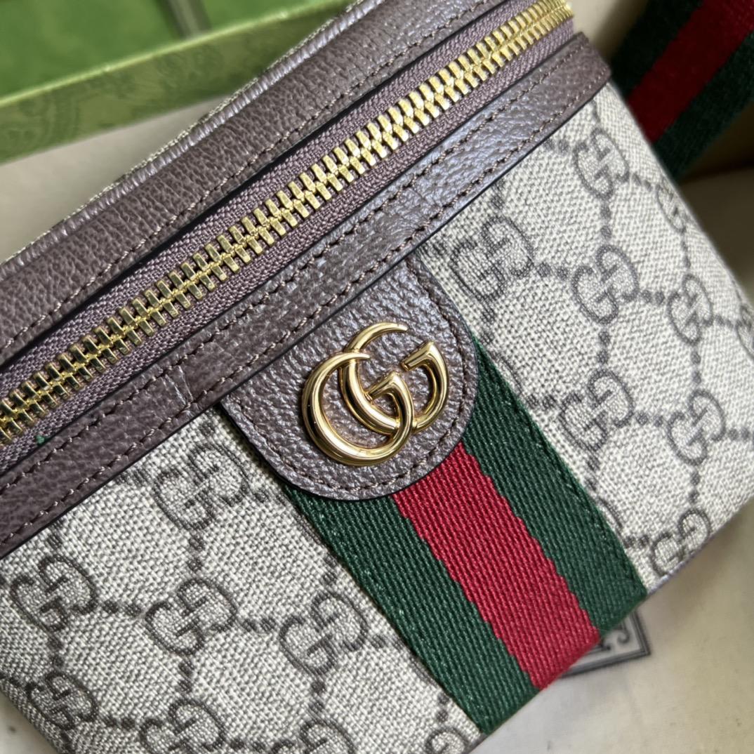 Gucci Ophidia GG Belt Bag (18-12-6cm) - DesignerGu