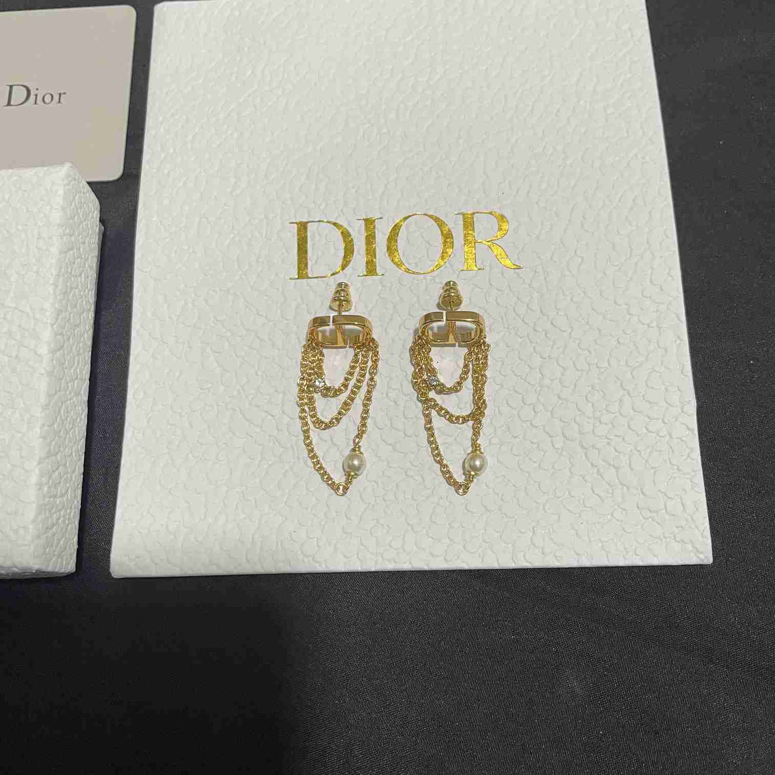 Dior Petit CD Earrings  - DesignerGu