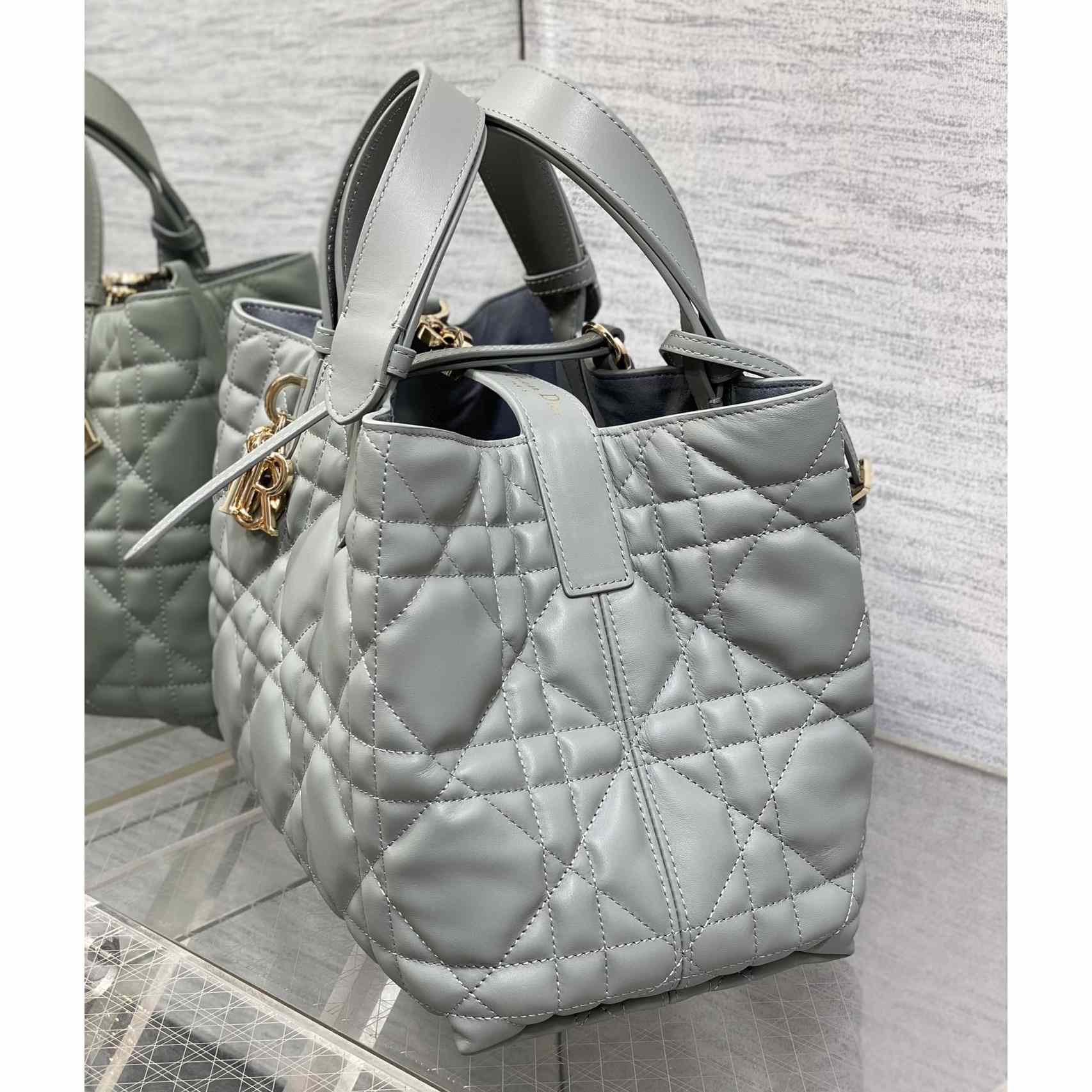 Dior Medium Dior Toujours Bag - DesignerGu