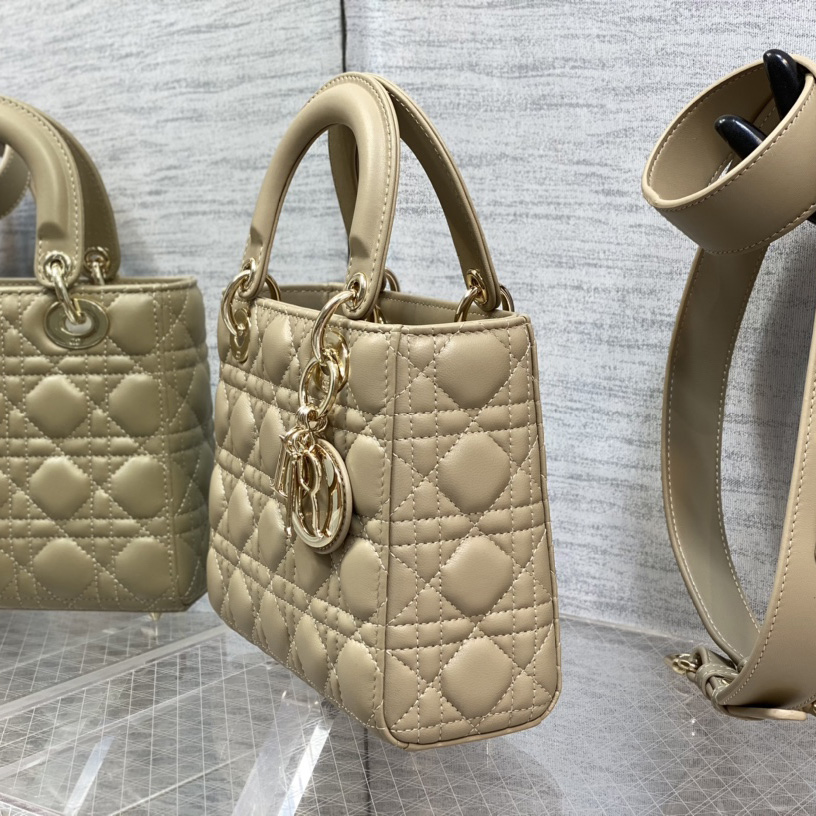 Dior Medium Lady Dior Bag - DesignerGu