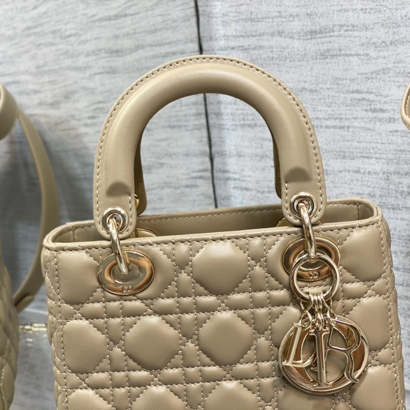 Dior Medium Lady Dior Bag - DesignerGu