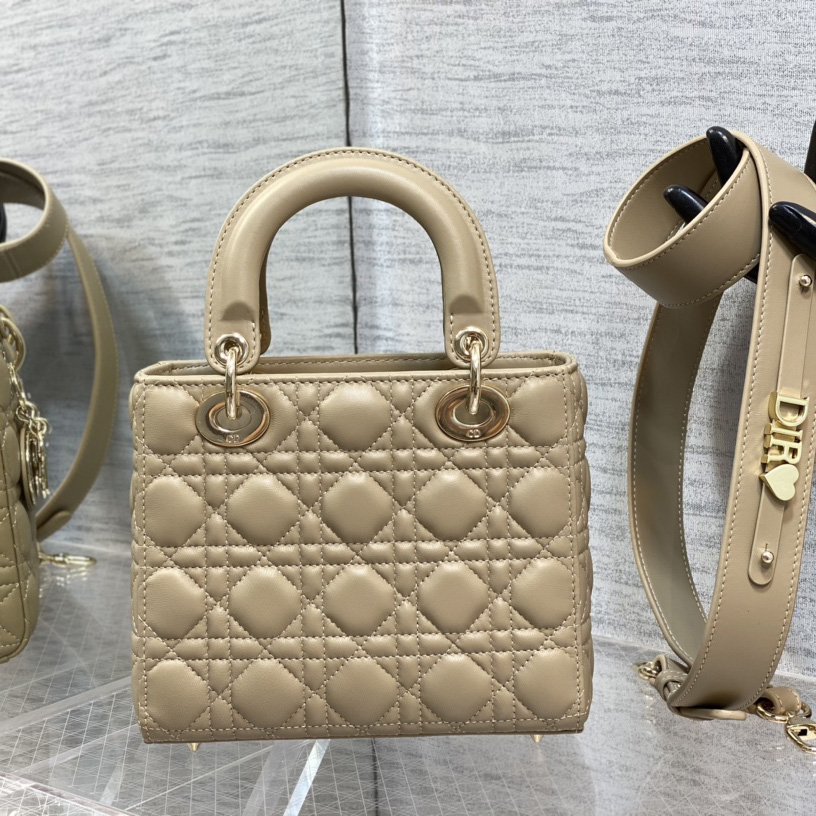 Dior Medium Lady Dior Bag - DesignerGu