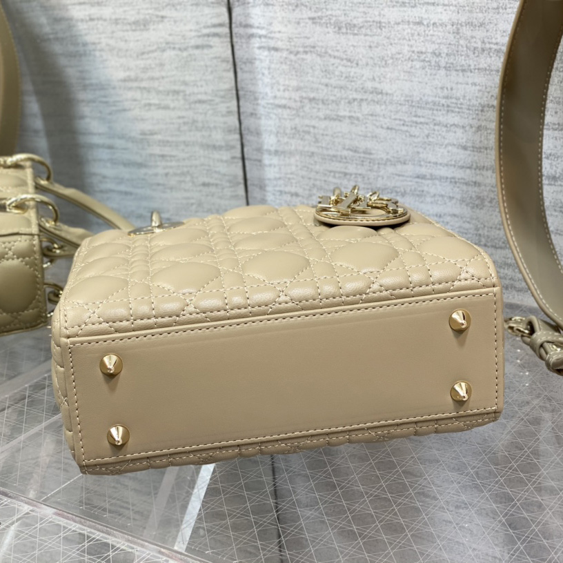 Dior Medium Lady Dior Bag - DesignerGu