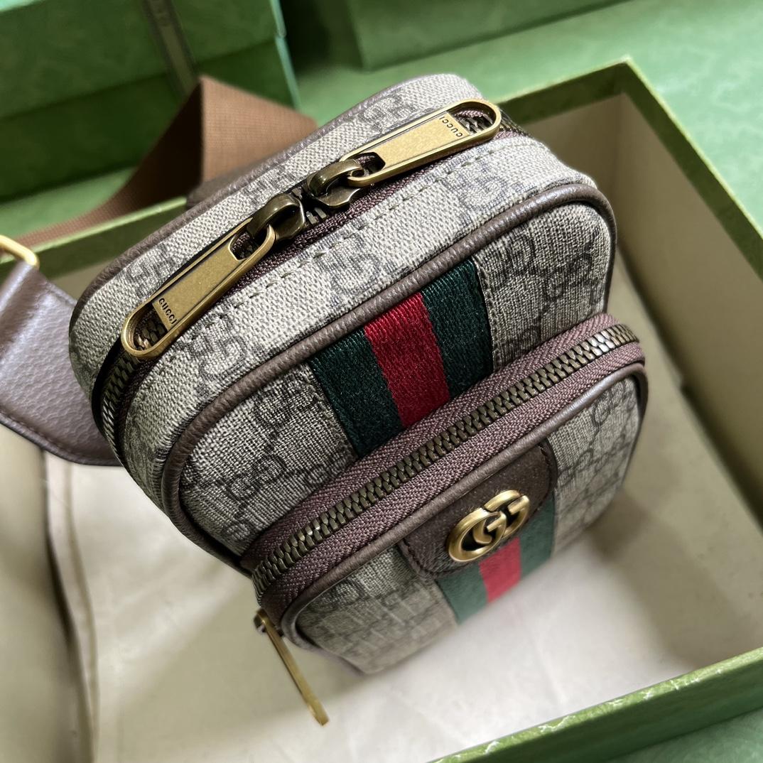 Gucci Ophidia GG Mini Bag (12x 18x 6.9cm) - DesignerGu