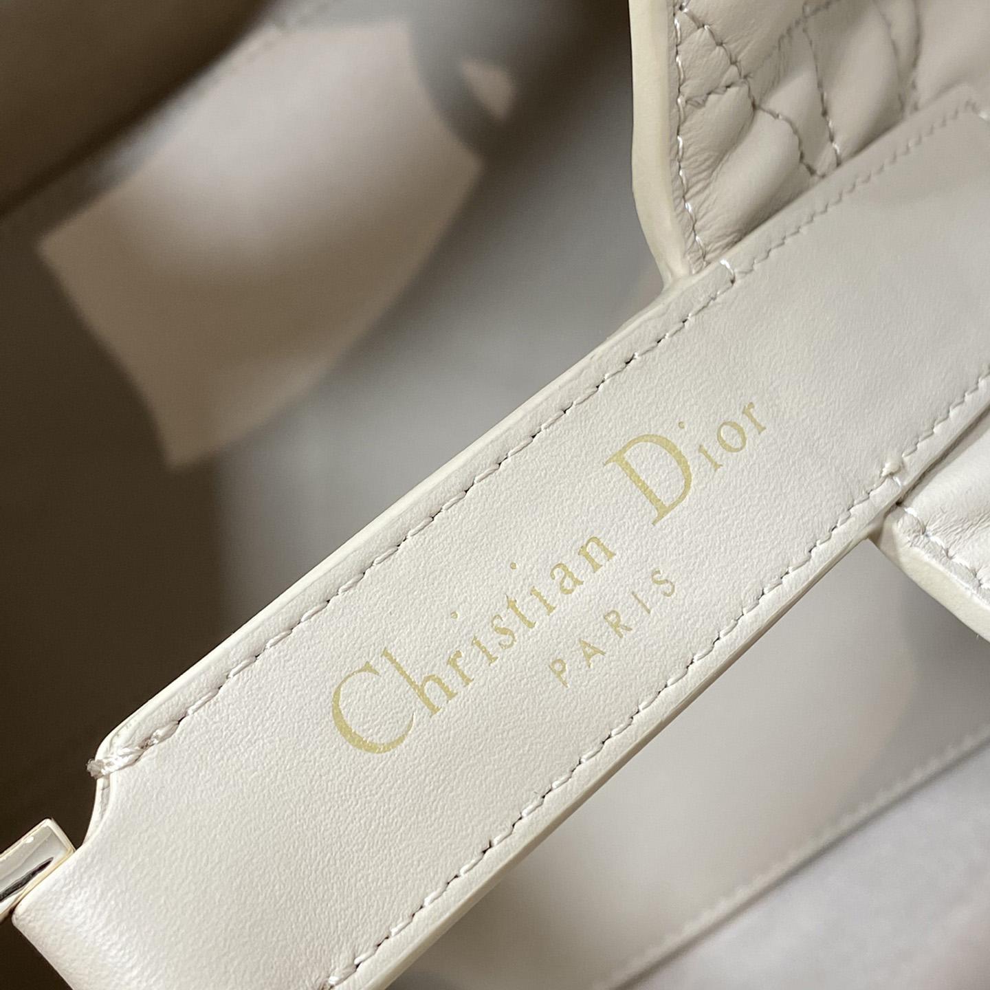 Dior Medium Dior Toujours Bag - DesignerGu