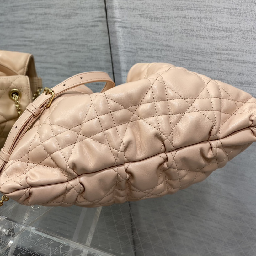 Dior Medium Dior Ammi Bag - DesignerGu