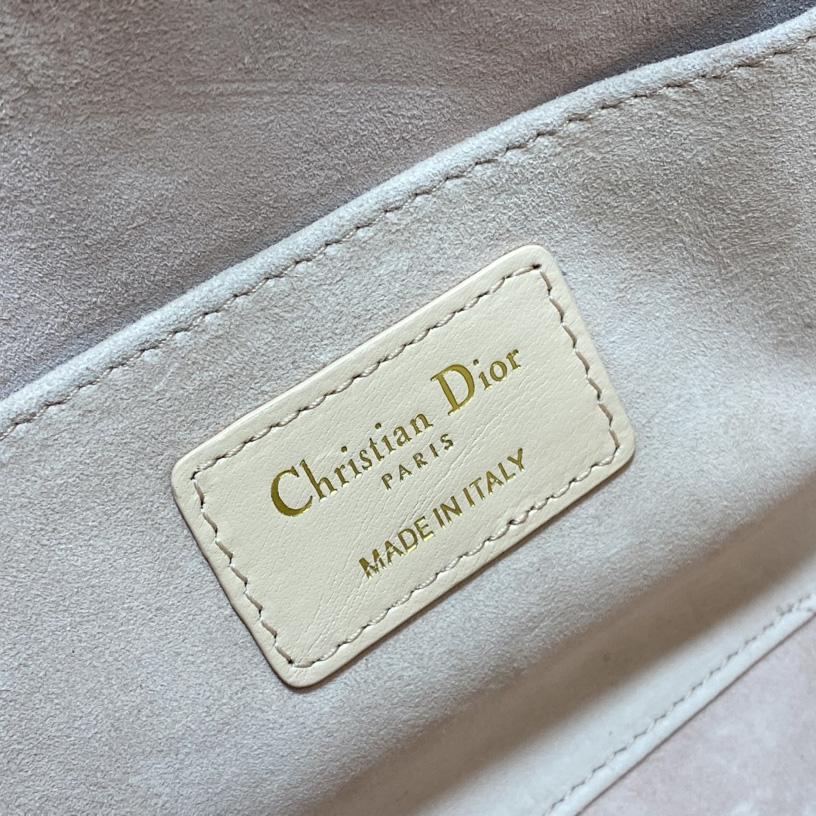 Dior Medium Dior Ammi Bag - DesignerGu