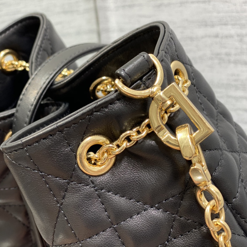 Dior Medium Dior Ammi Bag - DesignerGu