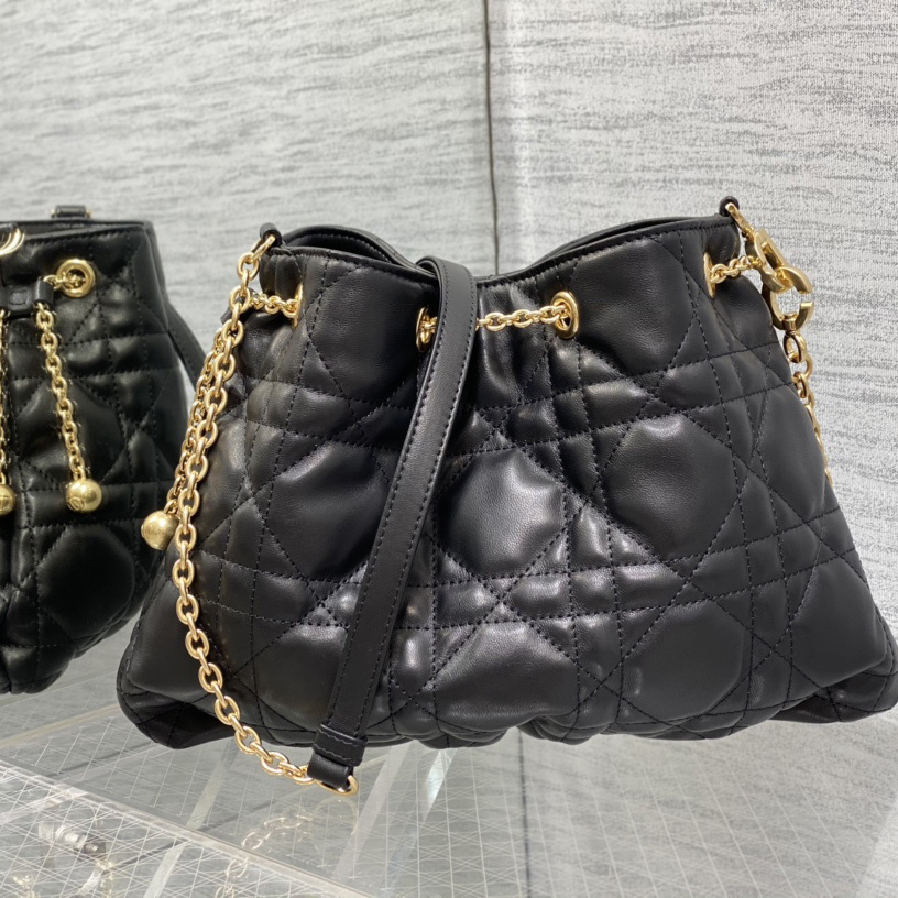 Dior Medium Dior Ammi Bag - DesignerGu