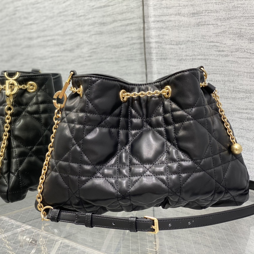 Dior Medium Dior Ammi Bag - DesignerGu