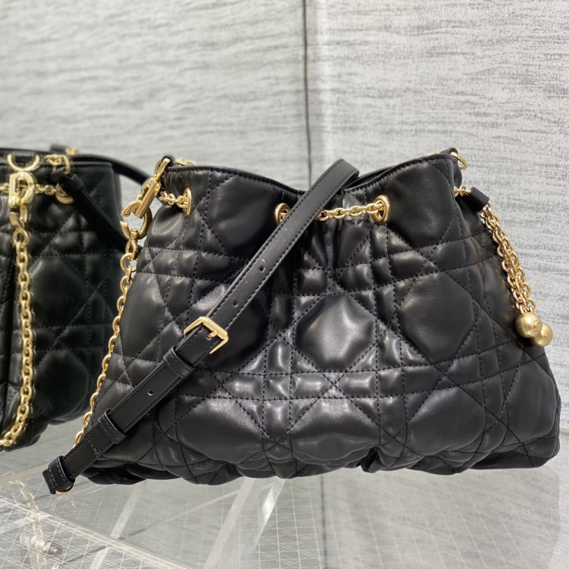 Dior Medium Dior Ammi Bag - DesignerGu