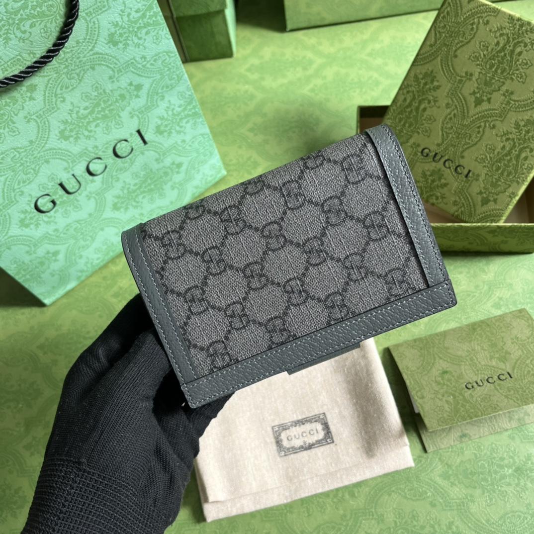 Gucci Ophidia Passport Case - DesignerGu