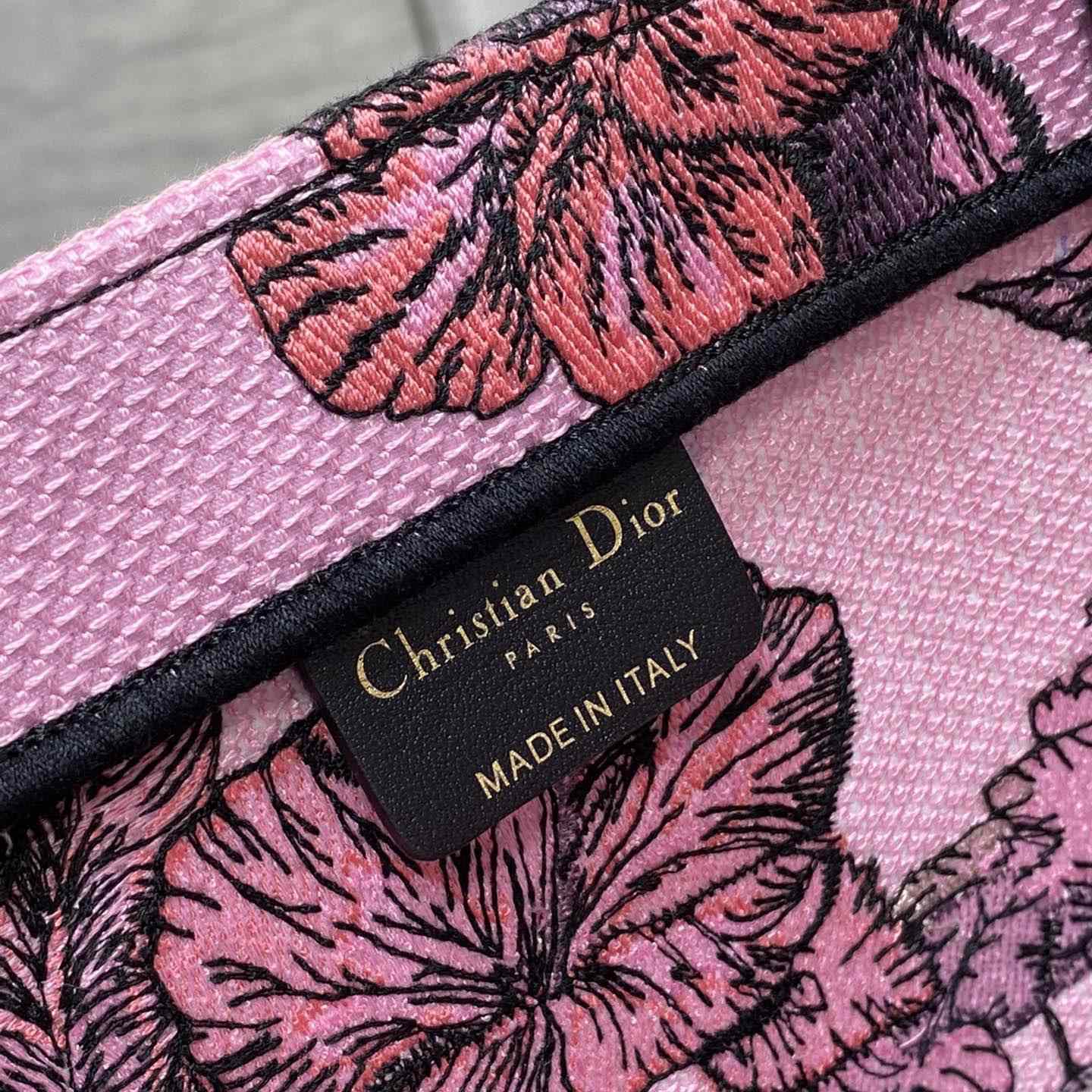 Dior Large Dior Book Tote - DesignerGu