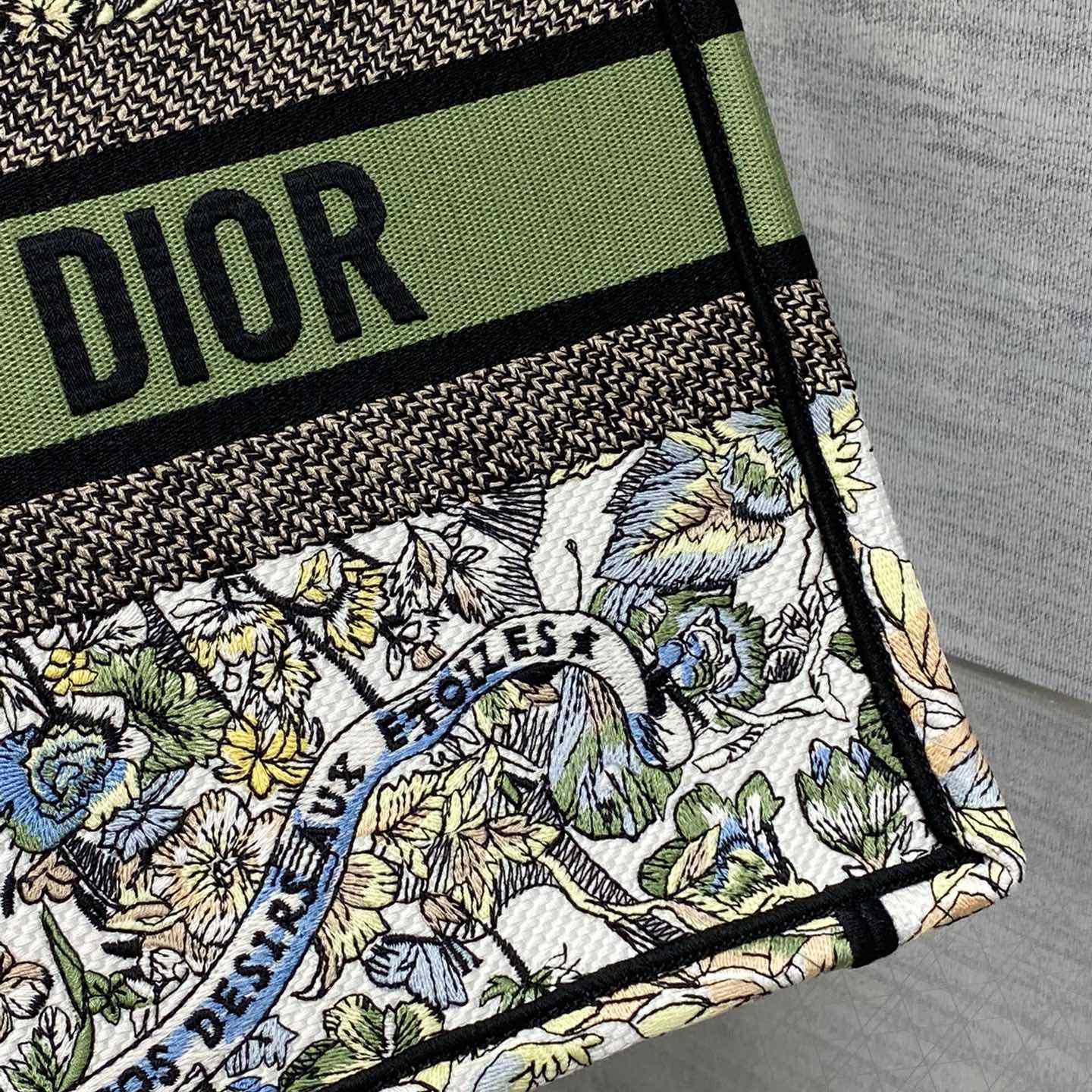 Dior Medium Dior Book Tote - DesignerGu