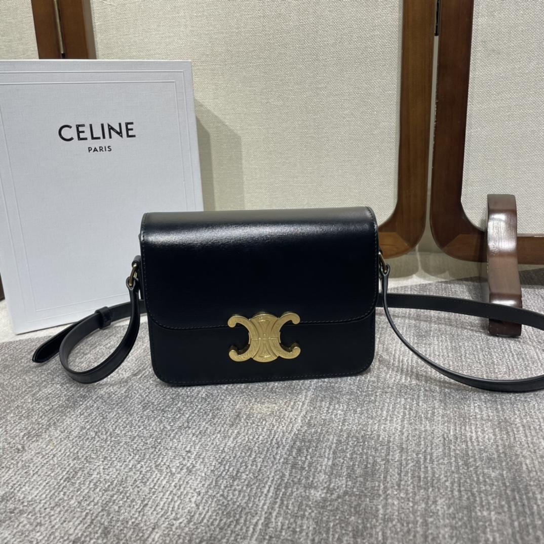 Celine Teen Triomphe Bag In Shiny Calfskin - DesignerGu