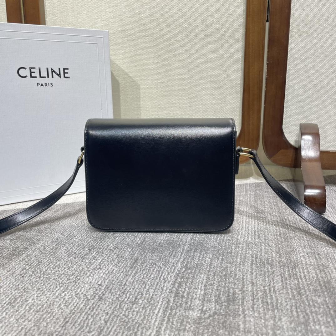 Celine Teen Triomphe Bag In Shiny Calfskin - DesignerGu