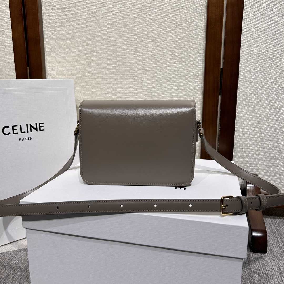 Celine Teen Triomphe Bag In Shiny Calfskin - DesignerGu