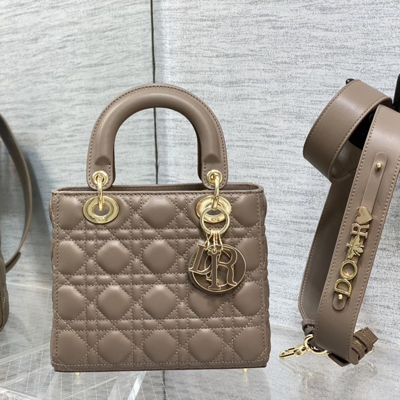 Dior Medium Lady Dior Bag - DesignerGu