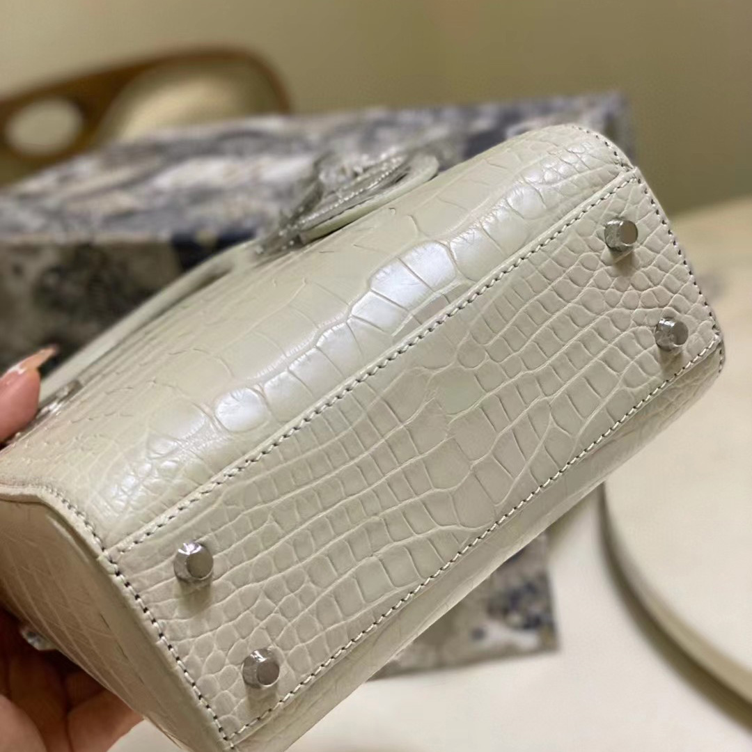 Dior Alligator Mini Lady Dior Bag (17-15-7cm) - DesignerGu