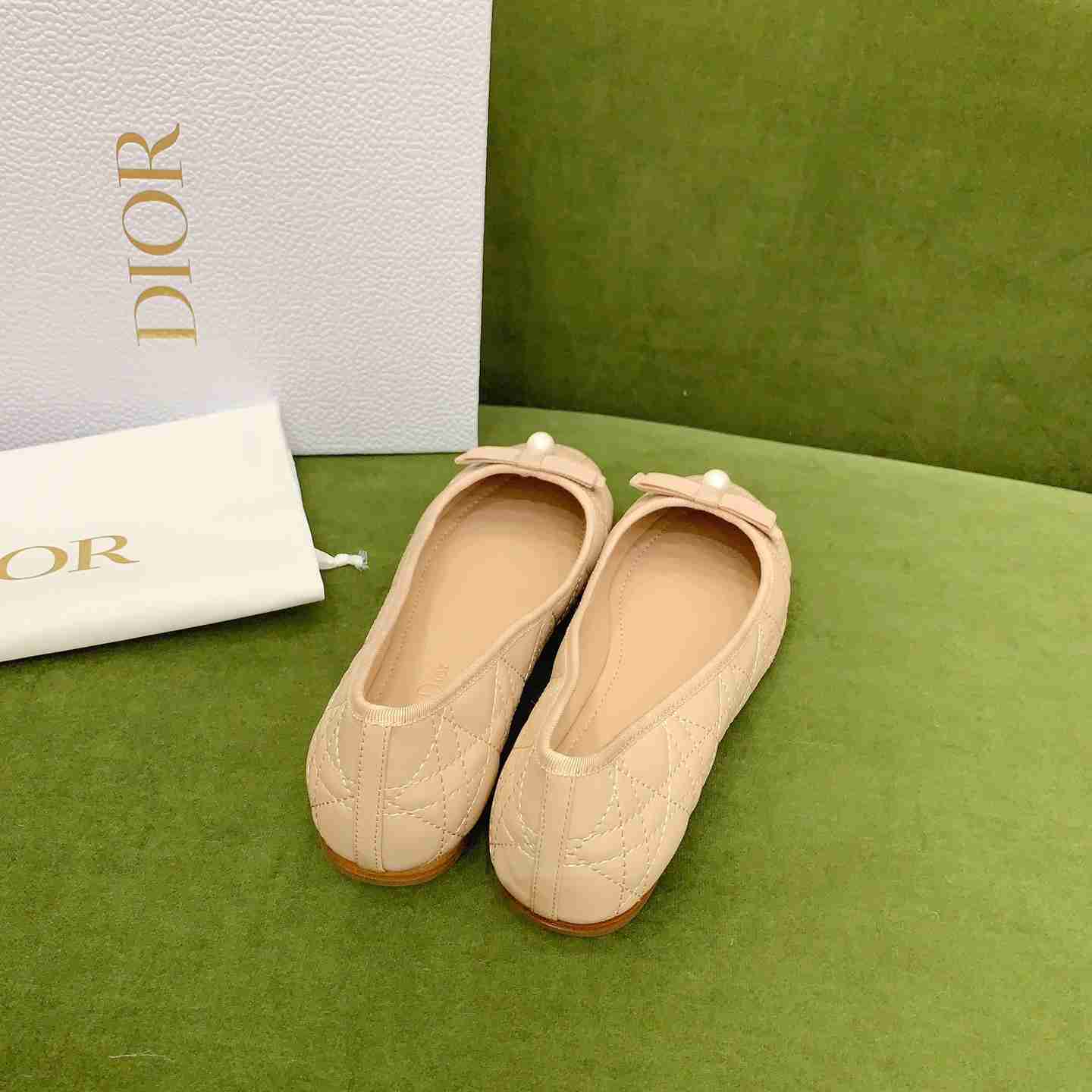 Dior Ballet Flat  - DesignerGu