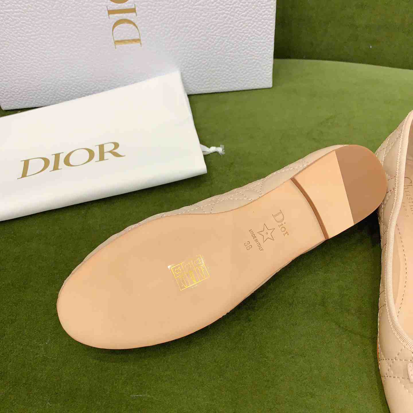 Dior Ballet Flat  - DesignerGu