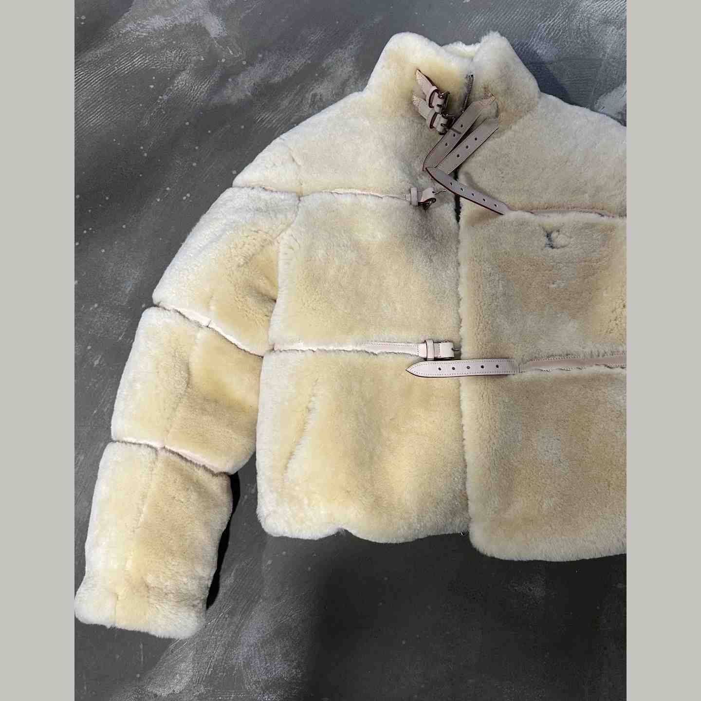 Louis Vuitton Shearling Down Blouson    - DesignerGu