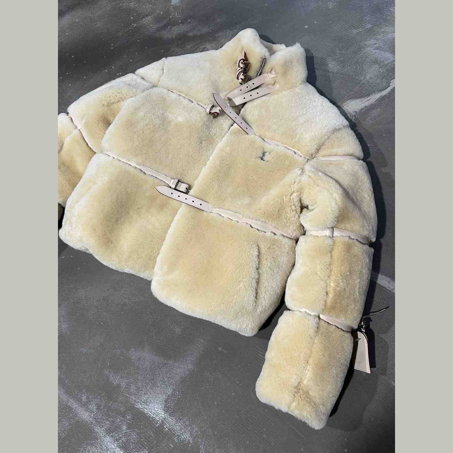 Louis Vuitton Shearling Down Blouson    - DesignerGu