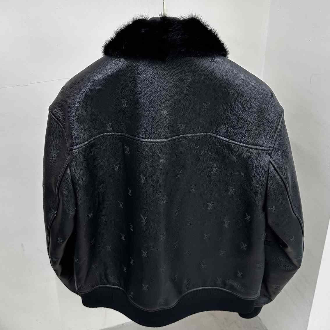 Louis Vuitton Leather Aviator Mink Collar    1AFIPA - DesignerGu