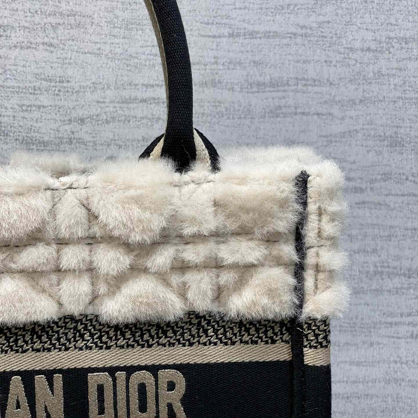 Dior Small Dior Book Tote - DesignerGu