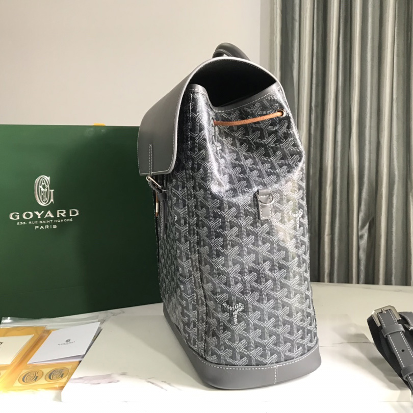 Goyard Alpin MM Backpack - DesignerGu