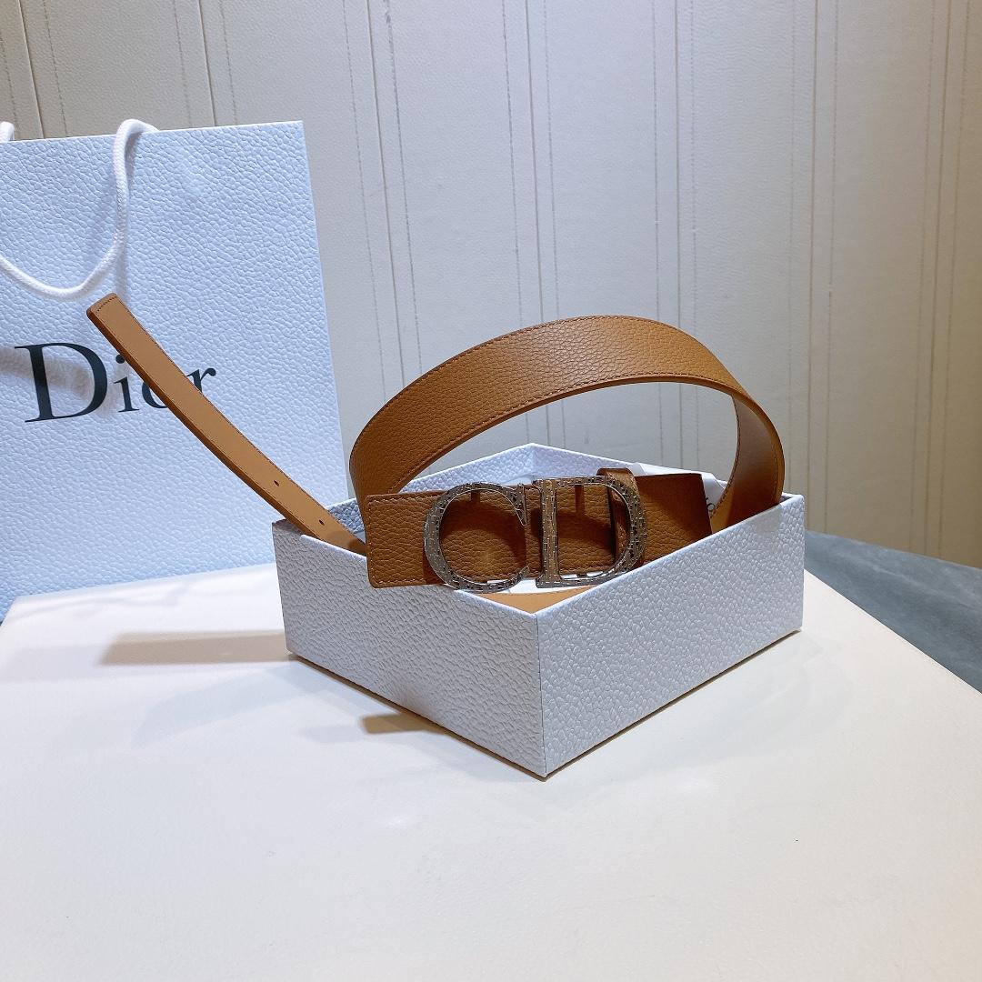 Dior Reversible Saddle Belt - DesignerGu