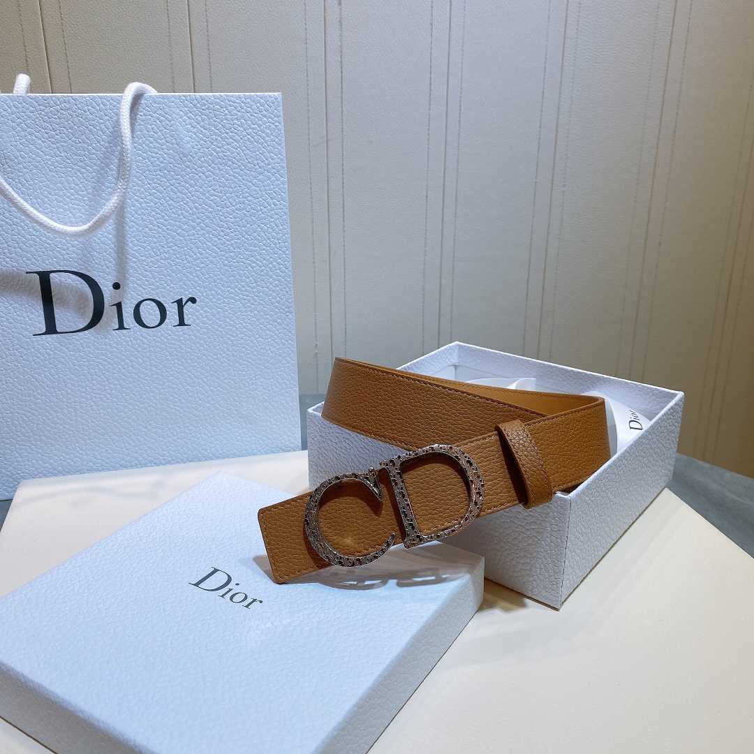 Dior Reversible Saddle Belt - DesignerGu