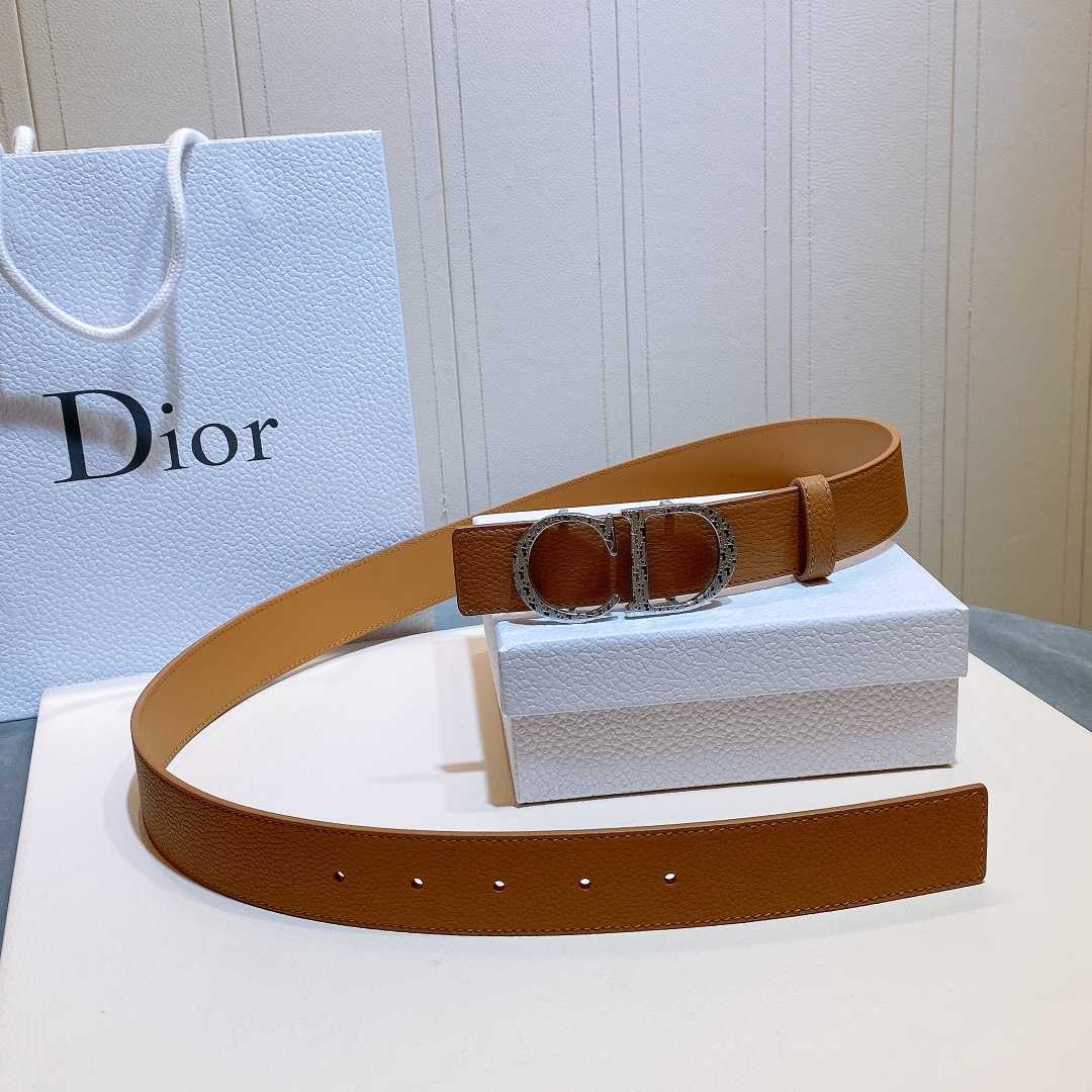 Dior Reversible Saddle Belt - DesignerGu