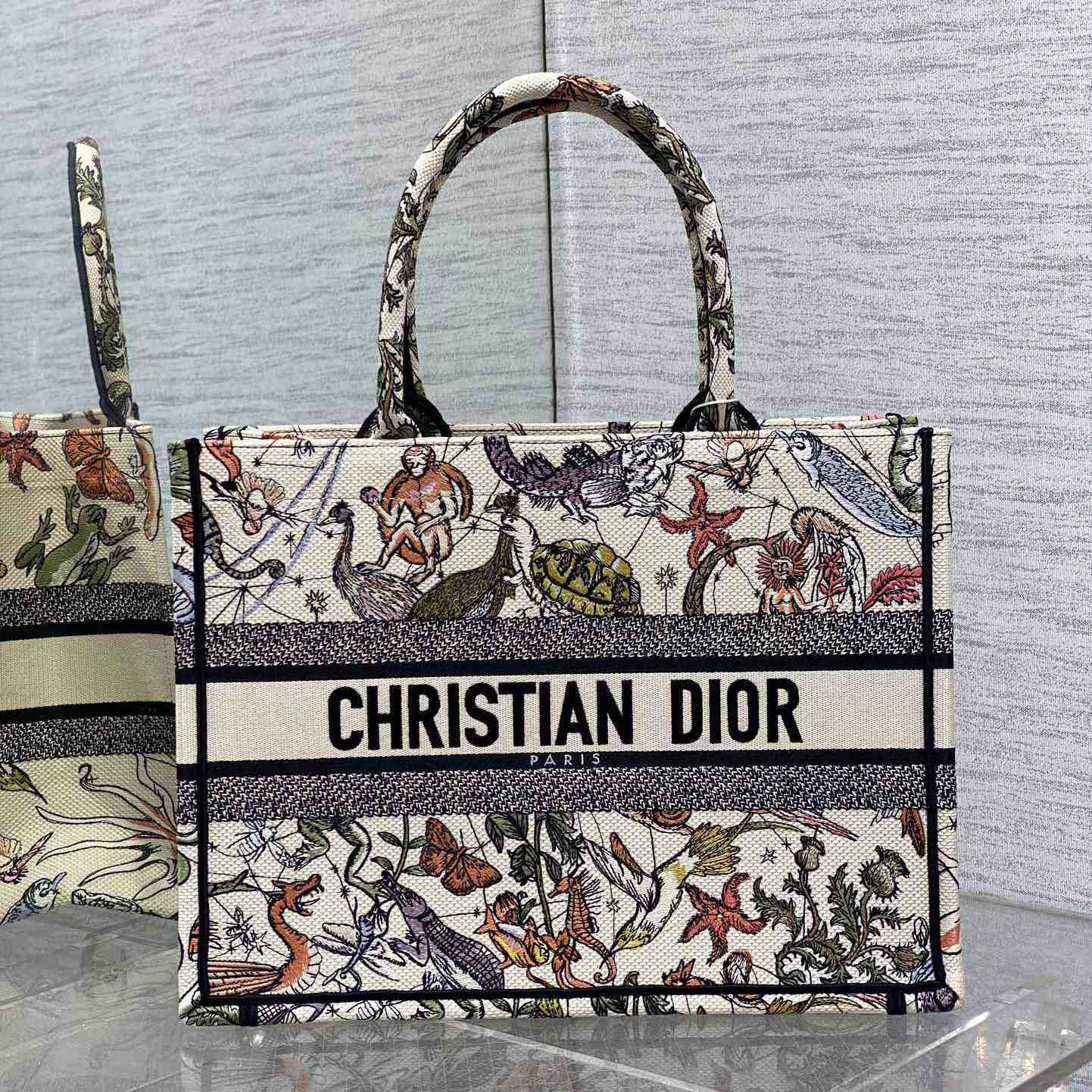 Dior Medium Dior Book Tote - DesignerGu