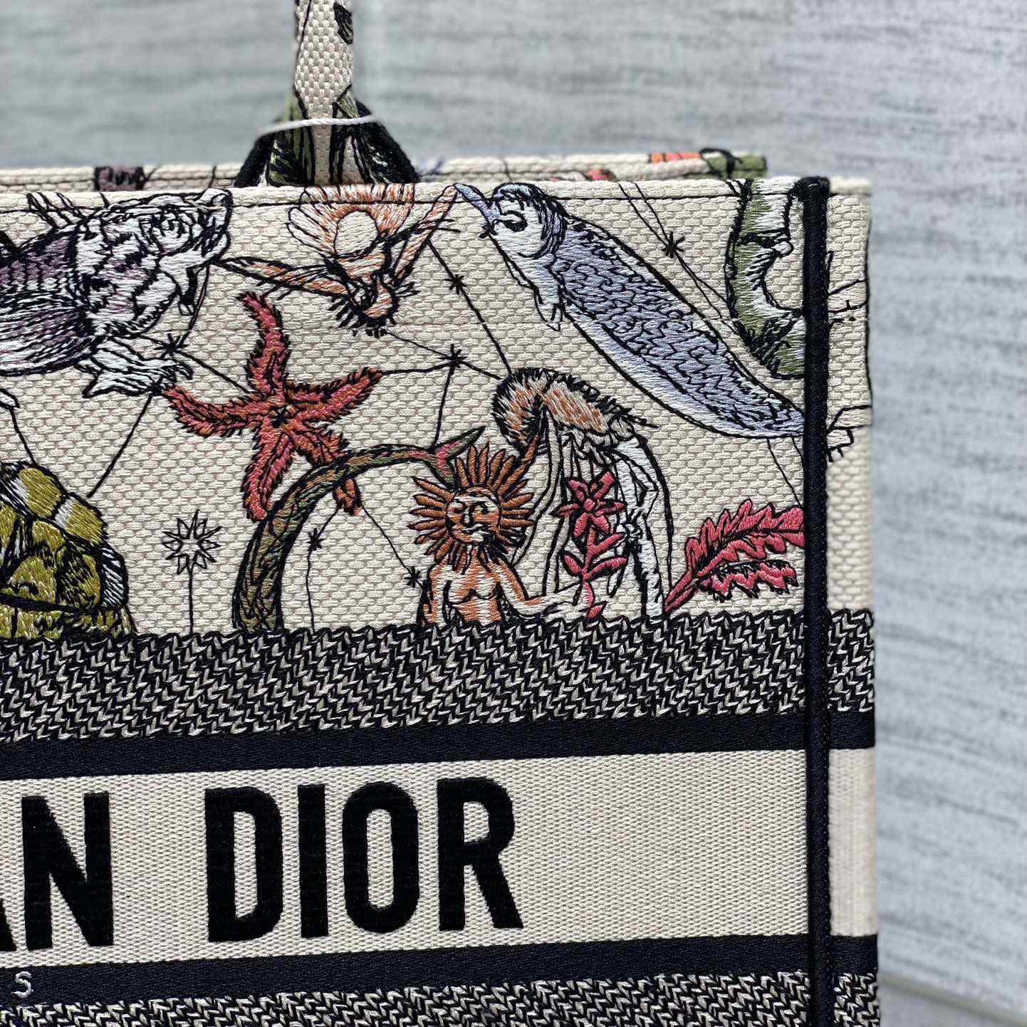 Dior Medium Dior Book Tote - DesignerGu