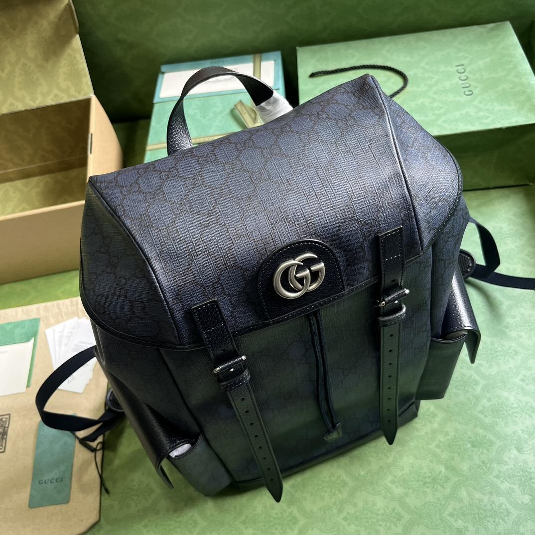 Gucci Ophidia GG Medium Backpack(24-40-16cm) - DesignerGu