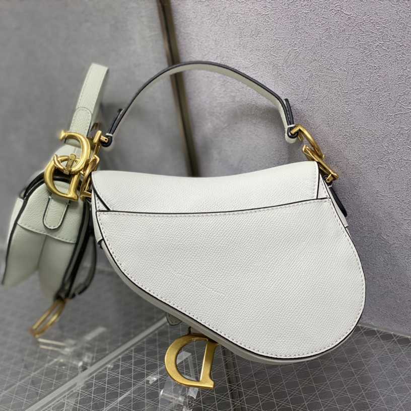 Dior Saddle Bag    19.5cm - DesignerGu