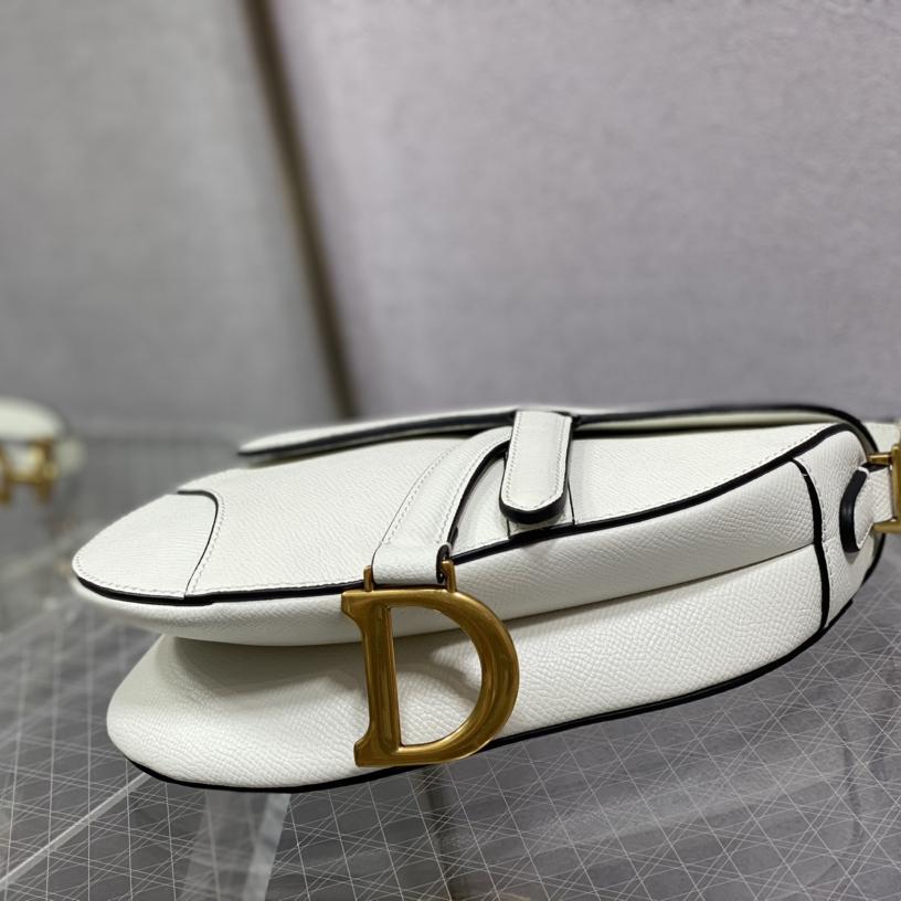 Dior Saddle Bag    19.5cm - DesignerGu