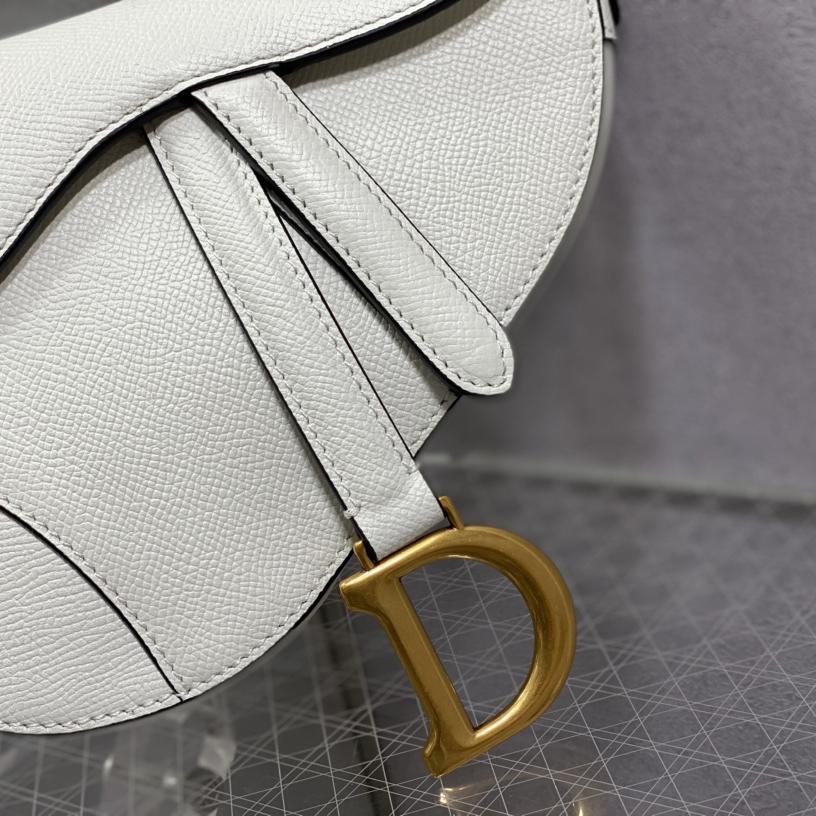 Dior Saddle Bag    19.5cm - DesignerGu